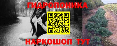 соль ск Гатчина
