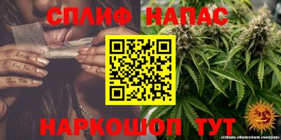 Альфа ПВП Гай