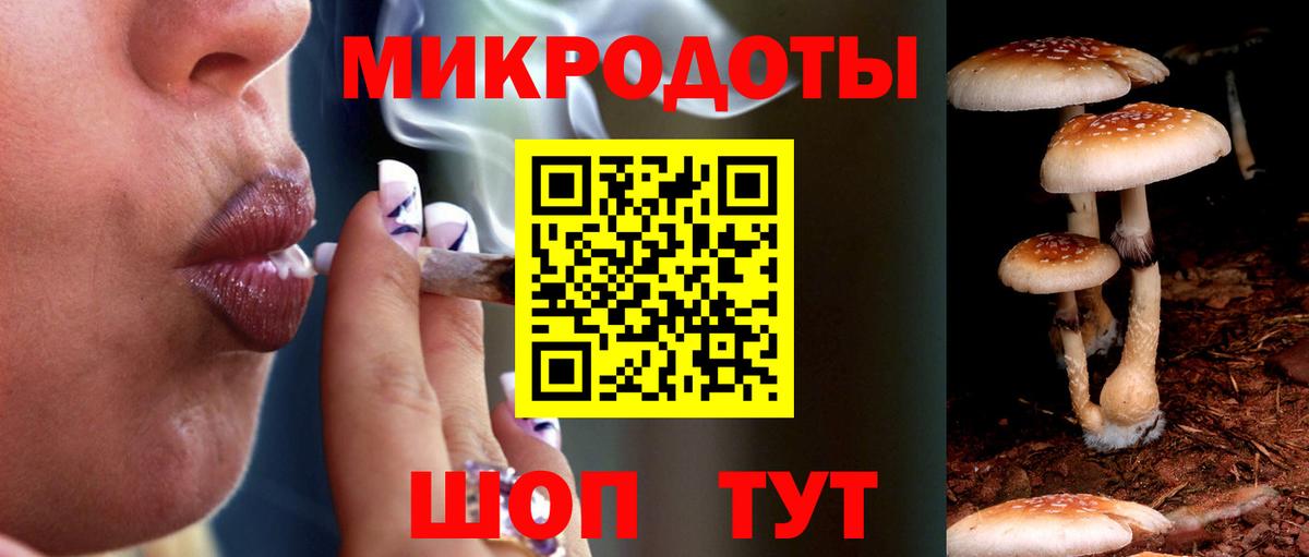 Джанкой  Псилоцибиновые грибы Cubensis  Вход с VPN 